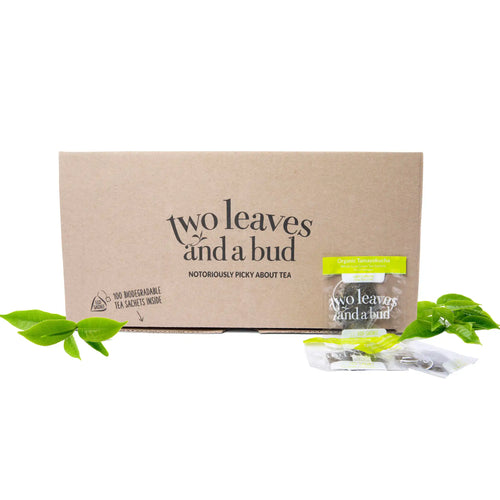 【SAN-CHA】　マサラチャイ 2個、YOGA Green Tea  2個 100ct_Tamayokucha_wIngredient.