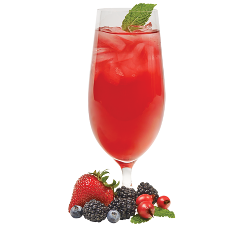 Alpine Berry Herbal Iced Tea 3 oz.