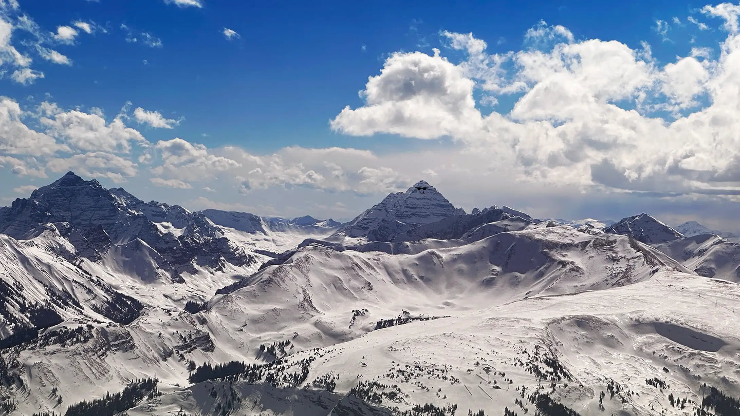 maybe an image about Our Spirit