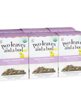 Organic Jasmine Petal Green Tea