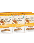 Organic Turmeric Antioxidant Tea