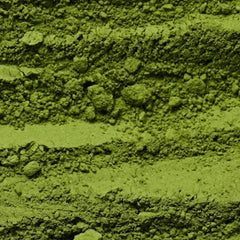 Close-up of green powder with a textured surface