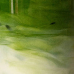 Close-up of a green leafy vegetable with a blurred background