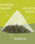 Organic Tamayokucha Green Tea - Two Leaves and a Bud